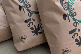 会津産　ひとめぼれ　10キロ　（玄米）