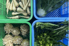 野菜詰め合わせ