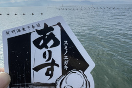 身入り抜群！　有明垂下養殖スミノエガキありす　2kg （生食可）