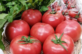 【アワード福袋】栄ちゃんファームの福袋。
人気の栄ちゃんトマトとプチトマト（アイコ）が入った
トマト尽くしのセットに季節の葉物野菜のおまけ付き！