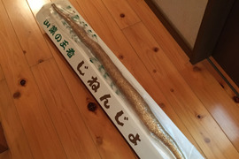 お歳暮、贈答用に 厳選❗️箱入り 1本物の自然薯1kg❗️お名前入りののし紙ご準備いたします。