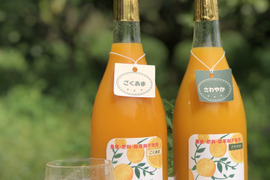 ごくあま•さわやか🍊皮ごとまる搾り、早生みかんジュース２本セット（720ml/２本入り）