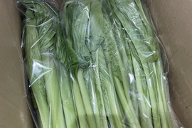 今が旬★山菜！秋田県鹿角市産の天然のうるい1kg