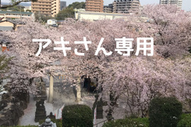 アキさん専用