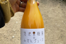 楽し嬉し4種のストレートジュース飲み比べ贅沢セット！（温州みかん・せとか・甘平・プリンセス48）