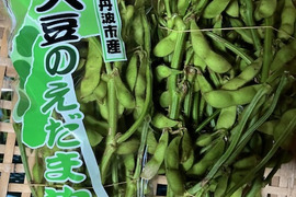 丹波産の丹波黒枝豆！早期特別割引価格！(食べチョク初出品の為)【枝付き】 750g×1袋　農薬/化学肥料/除草剤不使用、真心こめて育てました！今だけの特別な味をぜひ！『10月中旬より発送』『数量限定』