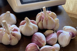 自然栽培　生にんにく　箱込　５ｋｇ