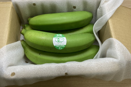 ［沖縄やんばる産］ま〜さんバナナ　安心安全JAS認定(1kg)