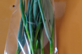 ✨農薬・化成肥料不使用の土の力で育った、主役になる小葱　約1kg✨