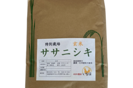 令和5年 ササニシキ玄米5kg～農薬・化学肥料不使用
