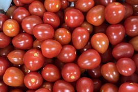 訳ありアイコ2kg箱(A品)全てヘタ無し♪傷あり。【朝どれ】美味しい＋満足‼︎おすすめアイコ