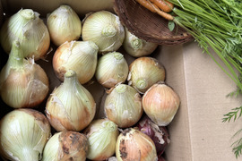 新玉ねぎ3kgに紫玉ねぎ3個とにんじんの間引き菜一把のセットで。