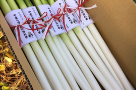 甘～い白ねぎ三昧！　鳥取県から冬の贈り物　(3㎏)　　【熨斗対応可能】