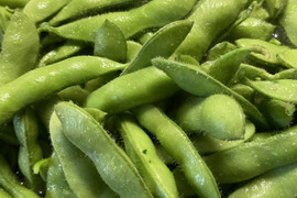 【季節限定】たっぷり1.2kg！甘く濃厚！枝豆『湯上り娘』300ｇ×４袋