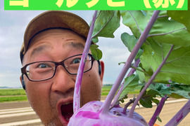 今だけ！６月８日（土）発送〜晴れ晴れファーム☆旬の水戸野菜セット・ニッシー価格2,400円(о´∀`о)