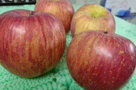 大人気りんご【残りわずか♪】【家庭用（茶箱）】 【５kg】