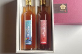 【冬ギフト】梅農家による甘辛梅酒500ml ２本セット　ギフト　のみくらべ　本格梅酒　辛口梅酒　甘口梅酒　自家栽培梅使用