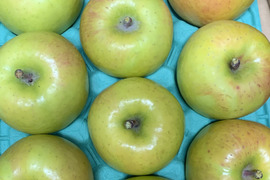 🍏希少品種🍏密どけりんご『黄金のサンふじ』３Kg　９個から１１個入り