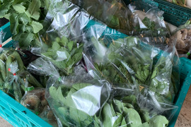 中谷農園 旬のおまかせ野菜セット 7〜9品目×3セット 【農薬・化学肥料・除草剤不使用】