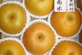 「南水梨」贈答用　10月から発送開始　長野県オンリーの梨　贈答3キロコース　お歳暮まで対応