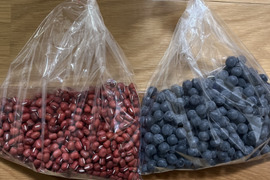 お得意様限定　黒大豆250g＋大納言小豆　250g  丹波篠山産