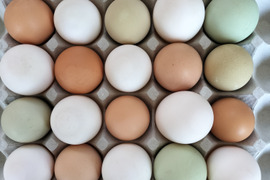 色々な卵３0個と美味しい野草3種のセット　合鴨アヒルの卵野菜セット