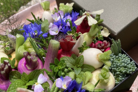【父の日ギフト】【初夏ギフト】野菜ブーケ BOXタイプ【カラフルなミニ野菜】【お誕生日】【開店祝】【周年祝】【お供え】