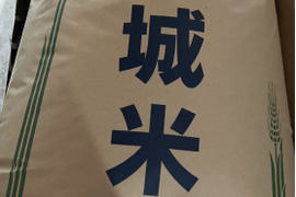 茨城県産令和７年度産新米コシヒカリ 30㎏　玄米