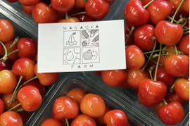 やまがた紅王🍒さくらんぼ新品種！パックバラ500g2Lサイズ
