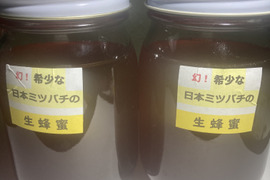 希少な日本蜜蜂、日本ミツバチの生はちみつ　５００g X２本　‼️