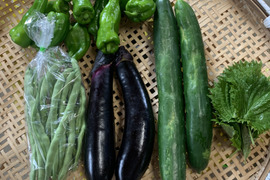夏の野菜セット　ナス多め