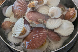青森県むつ湾産ベビーホタテ
