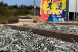 旨味抜群🍻かえりちりめん120ｇ×5