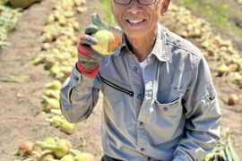 西谷農園の玉ねぎ　10キロ