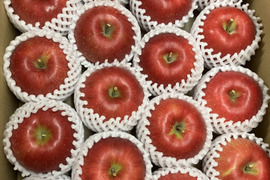 【贈答用】青森県産りんご「シナノスイート」約5kg【光センサー選果】