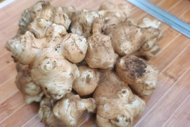 自然栽培　菊芋　4.5キロ