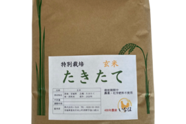 【新米】令和5年 希少品種たきたて玄米5kg～農薬・化学肥料不使用