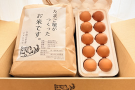 【限定15食】採れたて新鮮！令和7年新米5kg+平飼い卵10個
