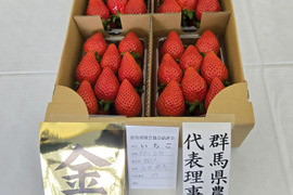 【群馬県いちご品評会【金賞🥇】受賞やよいひめ】こだわりの栽培で味が濃すぎるいちご  約280ｇ4パック【冬ギフト】【節分、バレンタイン】
