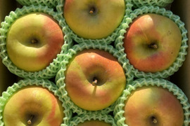 甘～いりんご✨ぐんま名月 約3kg 信州りんご