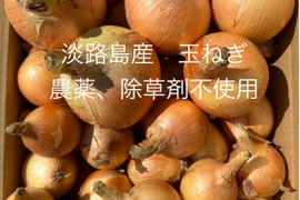 農薬、除草剤不使用！淡路島玉ねぎ3.5kg ペコロス1.5kg 計5kg