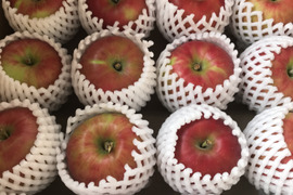 【懐かしの味】青森県産りんご 「紅玉」家庭用 キズ有 約10kg(5kg×2箱)【フルーツキャップ詰】