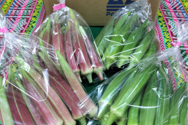 オクラ60本　赤オクラ混合　数量限定　オクラ食べ比べ