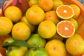 有田みかん🍊由良みかん【ご家庭用】3.5kg（箱込）