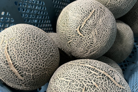 アールスメロンの通販｜メロン｜食べチョク｜産地直送(産直)お取り寄せ