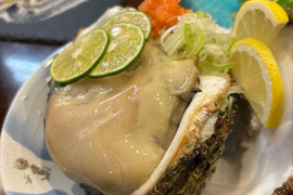 《日間賀島産》天然岩牡蠣【身入りMAX】濃厚な旨味、海のミルク、2Kg3-5個入
