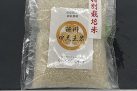 令和6年産　特別栽培米　コシヒカリ白米　真空包装！300ｇ×5個セット