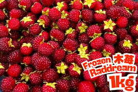【農薬・肥料不使用】珍しい木苺「レッドドリーム」採れたて冷凍 (1kg)