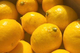 小粒な日だまりレモン娘(栽培期間中農薬不使用・有機肥料・ノーワックス防腐剤)(10個入り)