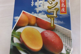 マンゴー 家庭用の通販｜食べチョク｜産地直送(産直)お取り寄せ通販